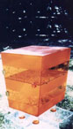 Shark amber bedside cabinet